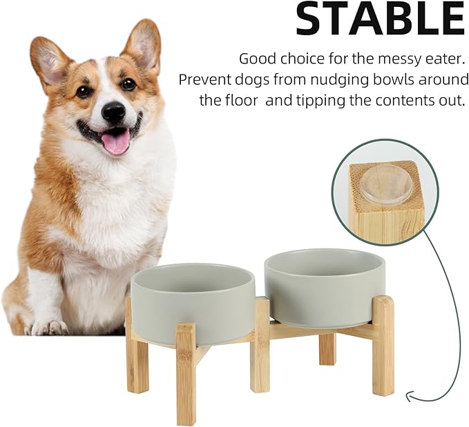 Havniva Ceramic Raised Double Bowls Set with Stand, 2 Heights Elevated, Food & Water Bowls for Small Breed Dogs, Weighted Dog Dishes, Pet Bowl(6.1'',28.7oz, Grey)