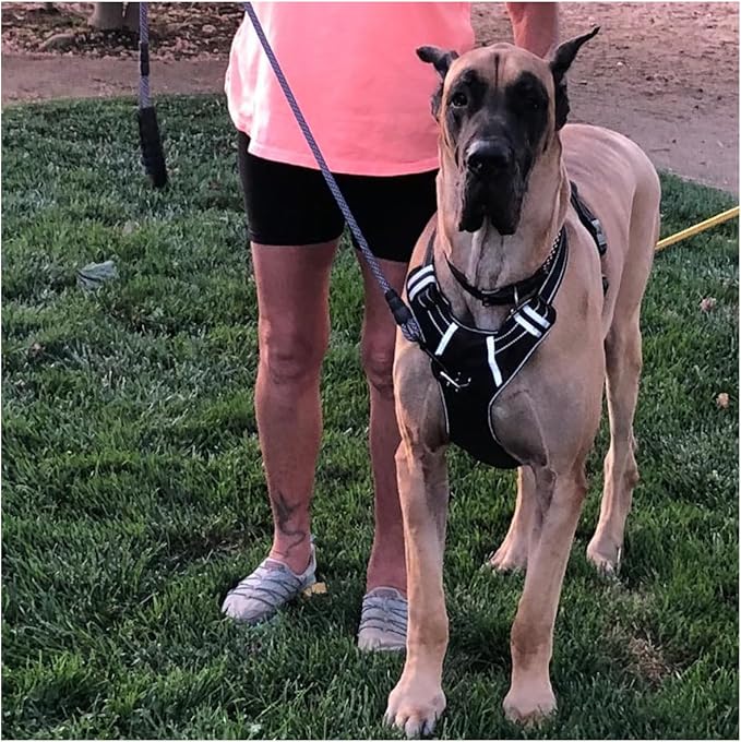 MayPaw Heavy Duty Rope Dog Leash, 6/8/10FT Nylon Pet Leash, Soft Padded Handle Thick Lead Leashes for Large Medium Dogs Walking Roaming (6ft * 1/2", Purple Black)