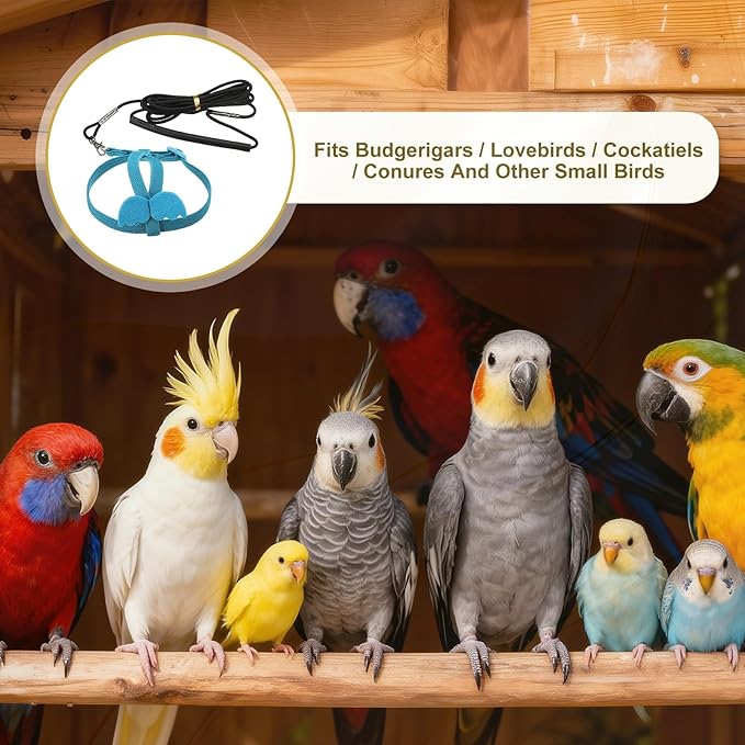 Bird Harness Leash, Adjustable Pet Parrot Bird Harness and Leash Lightweight Anti-Bite Flight Training Rope with Cute Wing, (Blue, M), Intended for Parrots/Pigeons/Budgies