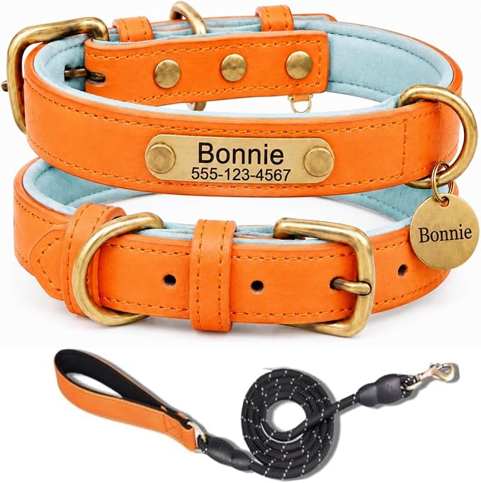 Leather Dog Collar Personalised and Leash Set, Personalized with Soft Padded Design Heavy Duty Featuring Custom Engraved Name Plate for Small Medium and Large Dogs