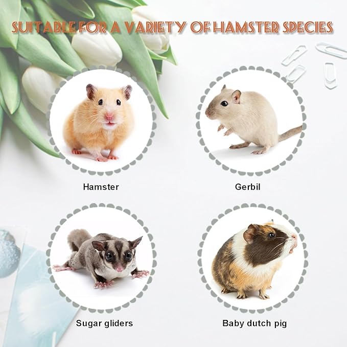 Wood Hamster House, Fun Tiny Hamsters Hideout, Detachable Double-Decker Hut for Dwarf Gerbil Mouse Mice Rat Small Animals(Only for Small Hamster)