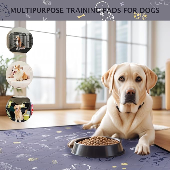 IEUUMLER Washable Pee Pads for Dogs, 2 Pack Non-Slip & Waterproof Pack Whelping Pad, Reusable Washable Puppy Potty Training Pad with Fast Absorbent for Playpen EU007 (Gray Dinosaur, 24"X18"-2pcs)