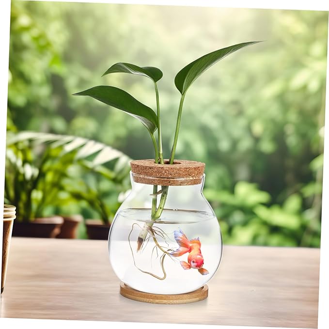 Glass Hydroponic Plant Vase with Cork Lid and Bamboo Base Small Clear Fish Bowl Desktop Terrarium Kit for Water Plants Lucky Bamboo Betta Fish Starter Pot for Home Office Decor 5x5.5 Inch