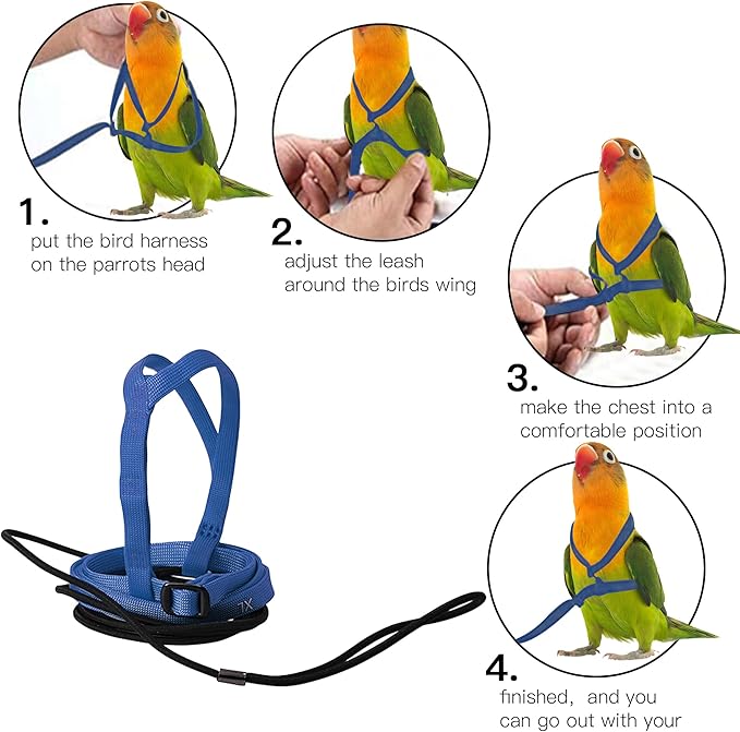 2 pcs Pet Parrot Bird Harness and Leash, Adjustable Training Design Anti-Bite, Outdoor Flying Training Rope Kit for Bird Parrots Fits Birds Chest Between35-62cm /13.78-24.41inch - L (Blue)