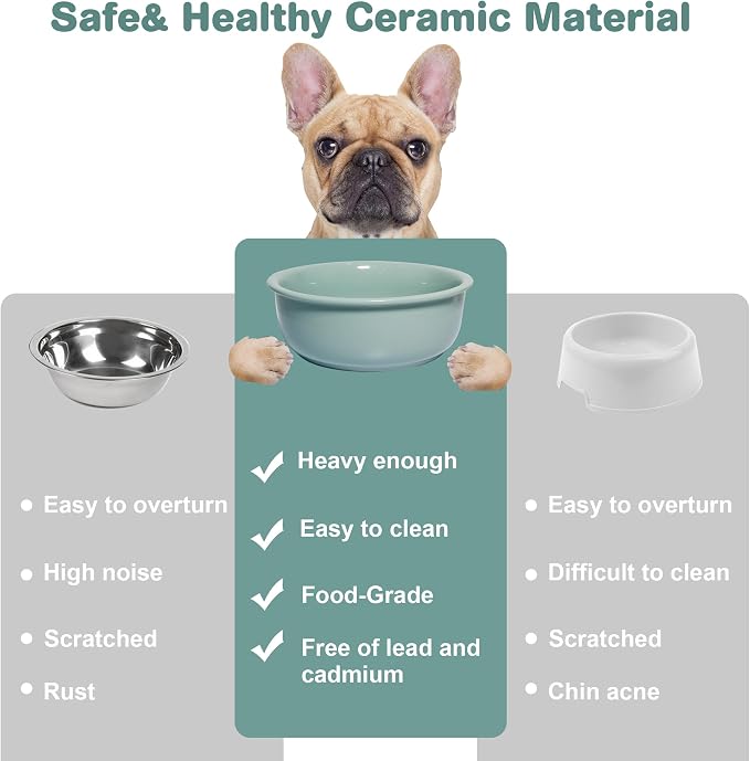 Wordcam 28oz Ceramic Dog Bowls, Durable Modern Pet Food and Water Bowls for Small Medium Dogs and Cats, Replacement Bowls for Wordcam SS02 Model (Light Green)