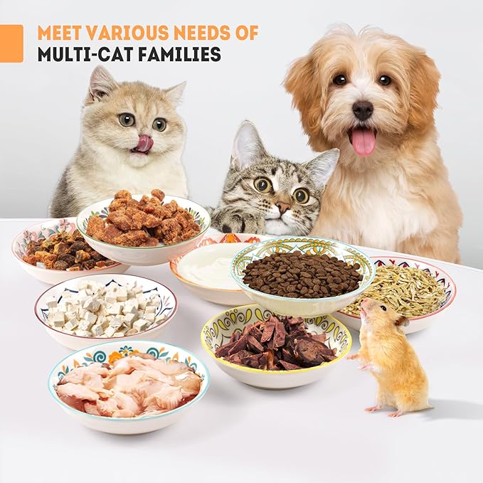 YEAHGO Cat Food Bowls for Indoor Cats Ceramic Cat Bowls Whisker Friendly Cat Dishes for Food and Water 5.5 Inches Kitten Bowls Cute Cat Feeding Bowls Set 8 Cat Wet Food Bowl Set Shallow Cat Plate