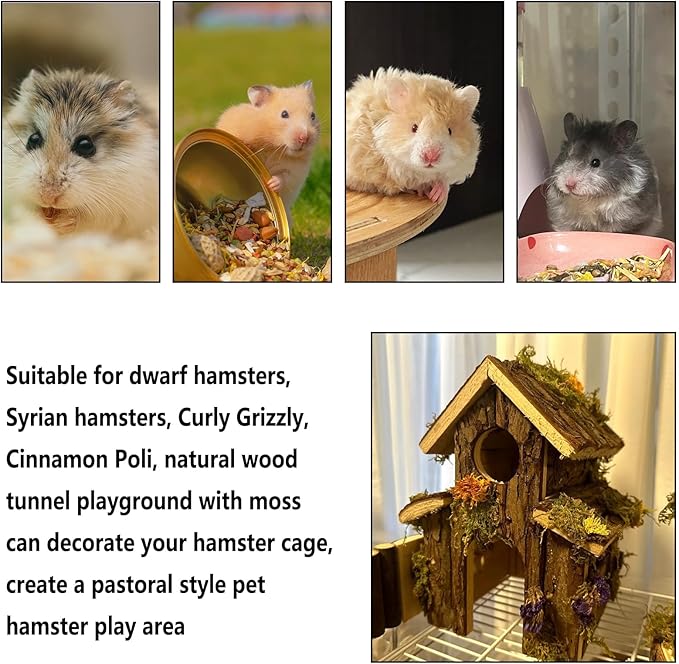 Natural Wooden Hamster Tunnel Playground Small Animal Multi-Room Hideout Houses with Climbing Ladders and Bridges for Dwarf Hamster Mice Gerbil (18.5x8.7x6in)