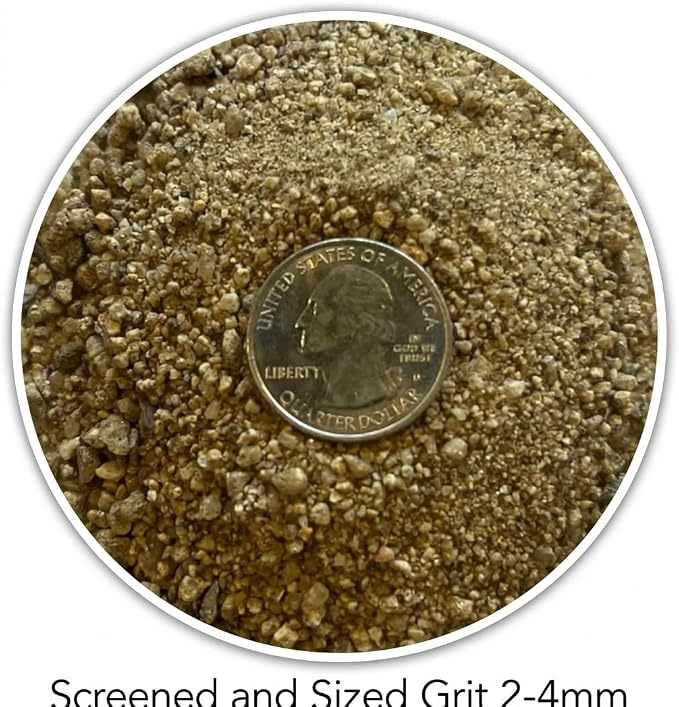 Horticultural Coarse Desert Sand for Plants – Washed Drainage Sand for Succulents, Cactus & Bonsai | Potting Grit for Soil Mix, Terrariums, Aquariums & Top Dressing (1 Quart, 3 lbs)