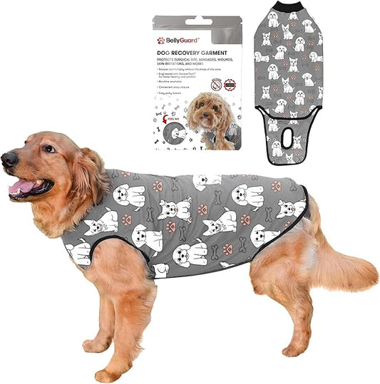 BellyGuard Dog Surgery Recovery Suit, Dog Onesie for Post-Op Care, Recovery Apparel for Female and Male, Surgical Body Cover for Canine Healing Support