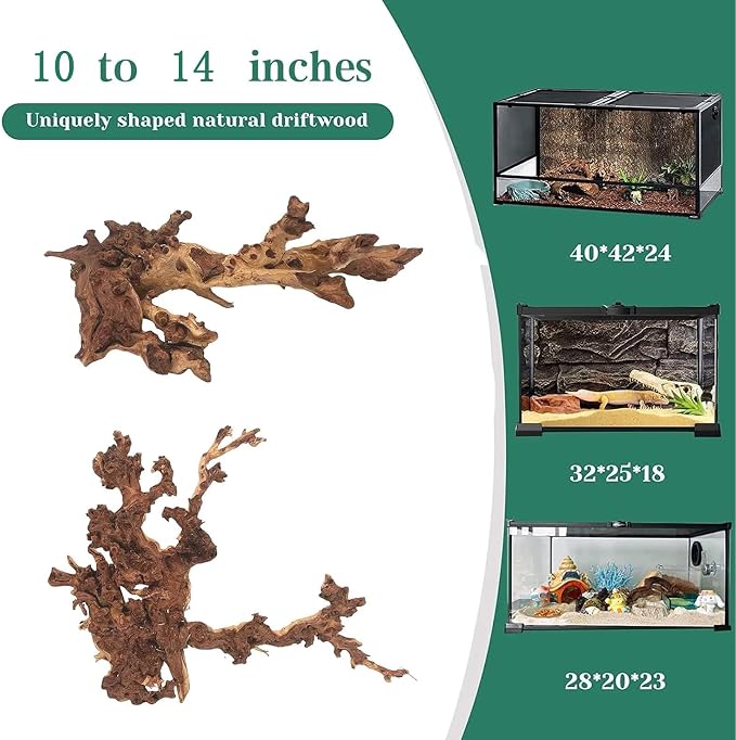 PINVNBY Natural Large Driftwood for Aquarium Fish Tank Decorations, Driftwood for Reptile Tank Bearded Dragon Tank Accessories Terrarium Decor (10 to 14 inches / 2 Pack)