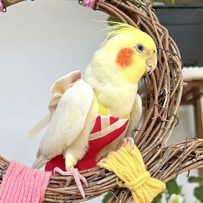Bird Flight Suits Diapers, Parrot Flight Suits Diapers for Quaker Parakeets Cockatiels Conures Macaw African Grey, Bird Diaper, Parrot Clothes (Green C,2XL)
