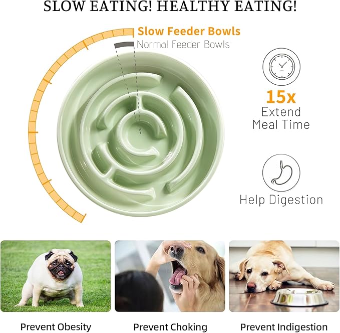 Ceramic Slow Feeder Dog Bowl,1.5 Cups Pet Slow Feeder for Small and Medium Breed,Puzzle Dog Food Dish,Anti-Gulping,Stop Bloat,Preventing Choking(Green)