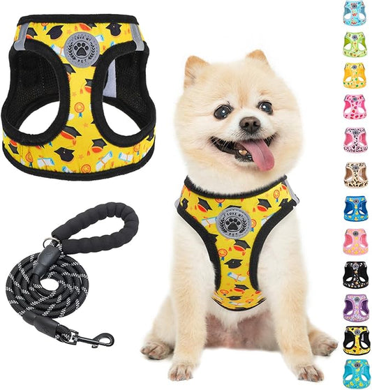 BEAUTYZOO Graduation Dog Harness for Small Medium Dogs - Soft Padded Step-in Reflective Puppy Vest with Leash Set, Adjustable No Pull Dog Harnesses, Grad Party Photo Props Gift for Boy & Girl Pets
