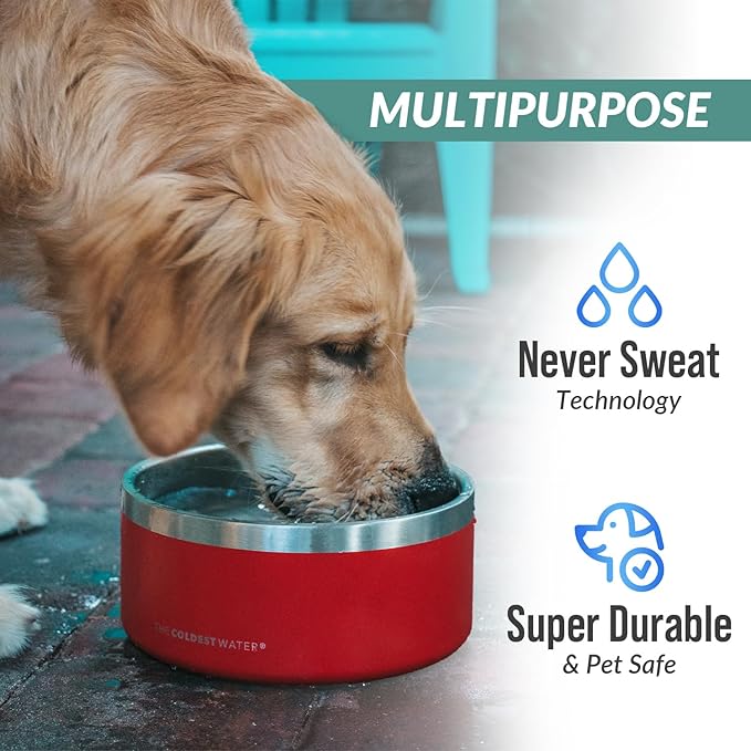 Coldest Dog Bowl - Anti Rust Metal, Non Slip, 3 Layers Insulated Stainless Steel Dog Bowls - Spill Proof & Heavy Duty - Water Bowl for Dogs, Cats & Pets, Dish Washer Safe (100 oz, Solar Yellow)
