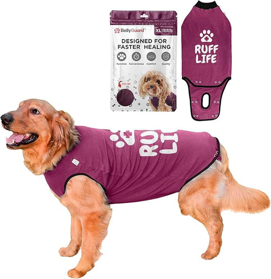 BellyGuard Dog Surgery Recovery Suit, Dog Onesie for Post-Op Care, Recovery Apparel for Female and Male, Surgical Body Cover for Canine Healing Support