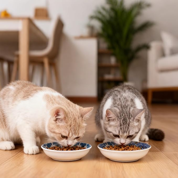 HAPPY KIT Ceramic Cat Food Bowl Set of 2, 5.75 inch Wide Shallow Cat Bowls/Dishes for Indoor, with Non-Slip Silicone Bottom, Whisker Friendly