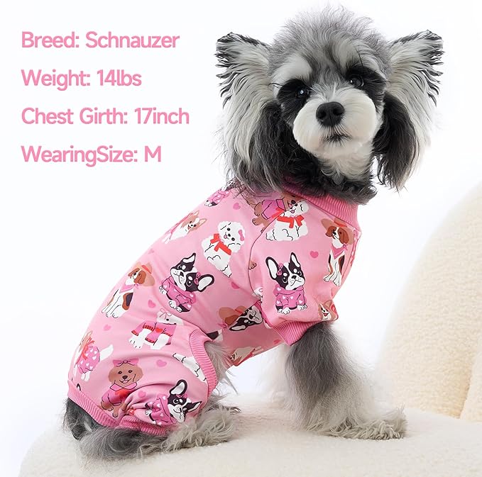 XPUDAC 4 Pack Dog Pajamas Cute Soft Dog Clothes for Small Medium Dogs Boy Girl Stretchy Pjs Jammies Outfit Puppy Onesies, 2X-Large