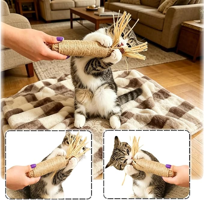 Natural Silvervine Dental Sticks, Silver Vine Sticks Cats with Raffia, Chew Sticks for Cats, Cat Chew Rope for Enrichment Pet Supplies, Calm Cat Boring (Large-2PCS)