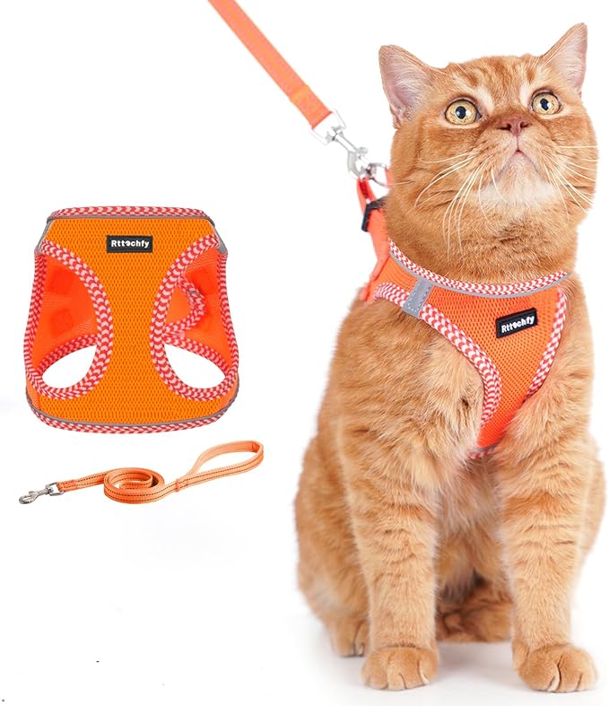 Rttochfy Cat Harness and Leash Set, Escape Proof Kitten Harness, Soft and Breathable Vest with Reflective Strip, Easy to Wear for Cats Walking and Traveling (Orange, XS)