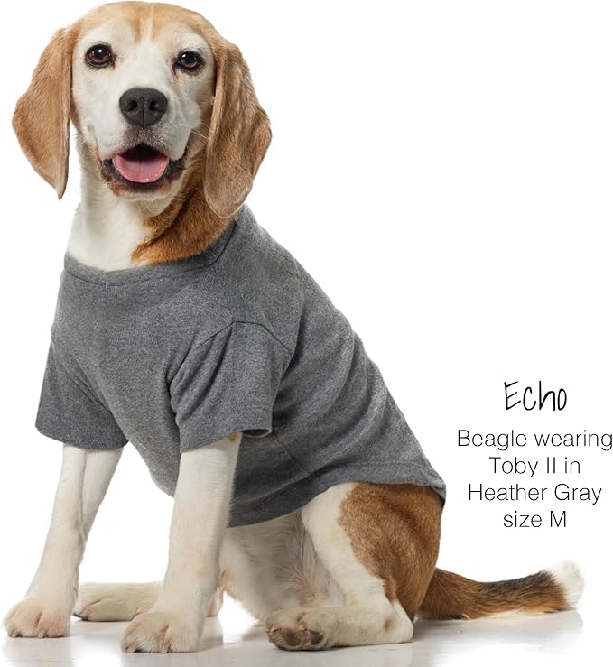 Pet Passion Toby II - The Perfect Tee, 3 Pack Short Sleeve Pet T-Shirt 100% Organic Cotton Tees Clothes for Small, Medium, Large Dogs, Gray Ombre, X-Large (55-80 lbs)