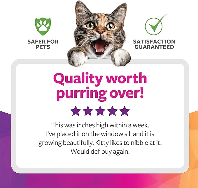 SmartyKat Sweet Greens Organic Oat Grass All-in-One Cat Grass Grow Kit, Easy-to-Grow to Support Digestion & Hairball Reduction