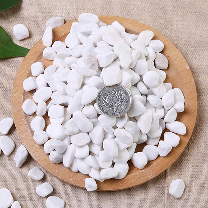 WAYBER White Decorative Gravel Stones for Aquarium & Bonsai Decor, 2 Pounds | Toxin-Free, Fade-Resistant, Ideal for Reiki Healing, DIY Crafts, Vase Filler, Aquarium & Bonsai Decoration