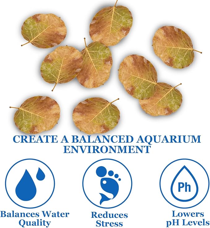 100Pcs Indian Almond Leaves Bodhi Leaves Aquarium Decor Water Conditioner | Sealed Package,for Betta Fish Shrimp Goldfish Guppy,Betta Fish Tank Decor,Balance PH,Natural Tannins,Axolotl Tank Accessories