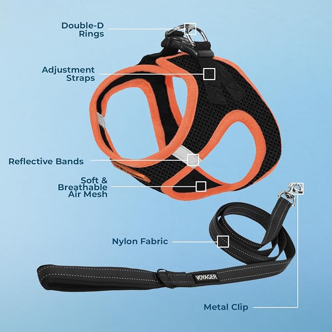 Best Pet Supplies Voyager Step-in Air All Weather Mesh Harness and Reflective Dog 5ft Leash Combo with Neoprene Handle, for Small, Medium and Large Breed Puppies - Set (Black/Orange Trim), Large