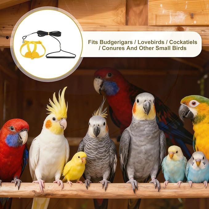 Bird Harness Leash, Adjustable Pet Parrot Bird Harness and Leash Lightweight Anti-Bite Flight Training Rope with Cute Wing, (Yellow, S), Intended for Parrots/Pigeons/Budgies