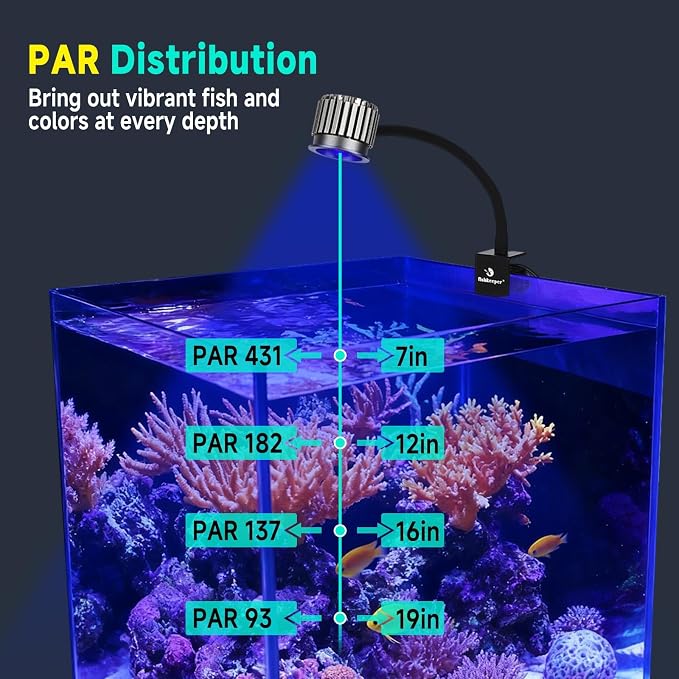fishkeeper Saltwater Aquarium Light for 5-10 Gallon, 24/7 Reef LED Light | Adjustable Color/Brightness/Timer, 8W Clip On Aquarium Light for Coral Marine Tank, Memory Function