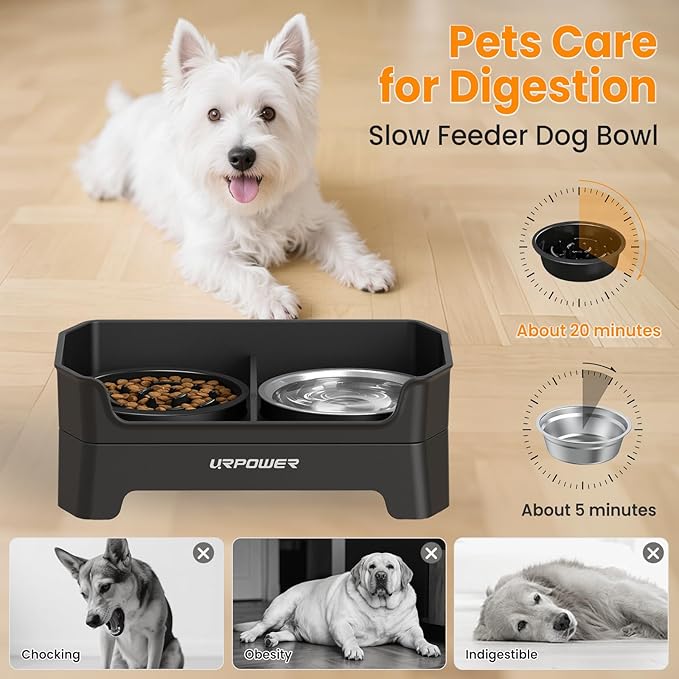 URPOWER 3-in-1 Elevated Dog Bowls - Mess Proof Double Deck 4 Height Adjustable Raised Stand with Stainless Steel Bowl & Slow Feeder Bowl for Small, Medium & Large Dogs