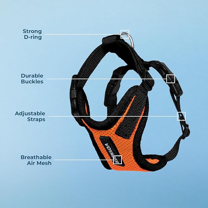 Voyager Step-in Pet Harness - All Weather Mesh, Adjustable Step in Harness for Cats and Dogs by Best Pet Supplies - Orange/Black Trim, S