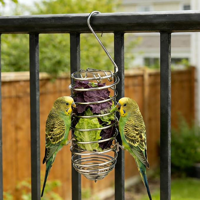 2pcs Millet Spray Holder for Parrots with Cleaning Brush, Stainless Steel Millet Holder Bird Food Feeder Basket for Pet Parakeet Cockatiel Conure Foraging Chew Accessories Supplies