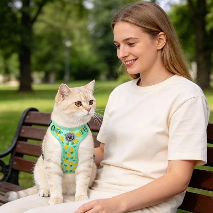 BEAUTYZOO Cat Harness and Leash Set Escape Proof, Medium Cat Vest Harness for Walking, Adjustable Step in Kitten Harnesses for Travel, Soft Lightweight Outdoor Cute Kitten Harnesses, Pineapple M
