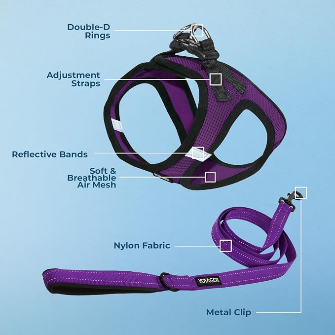 Best Pet Supplies Voyager Step-in Air All Weather Mesh Harness and Reflective Dog 5 ft Leash Combo with Neoprene Handle, for Small, Medium and Large Breed Puppies - Purple/Black Trim, X-Large