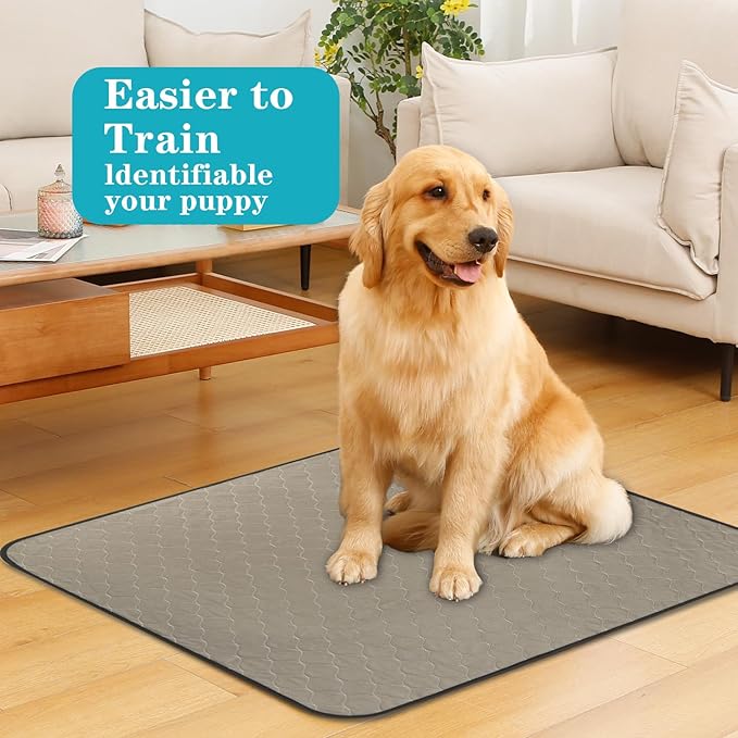 Bunlitent Washable Pee Pads for Dogs 36" x 72", 3 Pack, Reusable Puppy Pads, Dog Training Pads with Quick Dry, Large Anti-Slip Whelping Pad for Pet, Playpen, Incontinence, Housebreaking