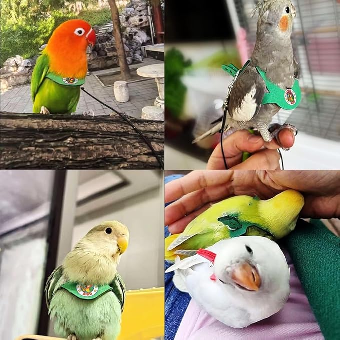 Adjustable Bird Harness & Leash Set for Small Birds,FitsBudgie,Parakeets, Conures, Cockatiels,Green Cheek,Quaker Parrots(Green, XS) Z6350-6