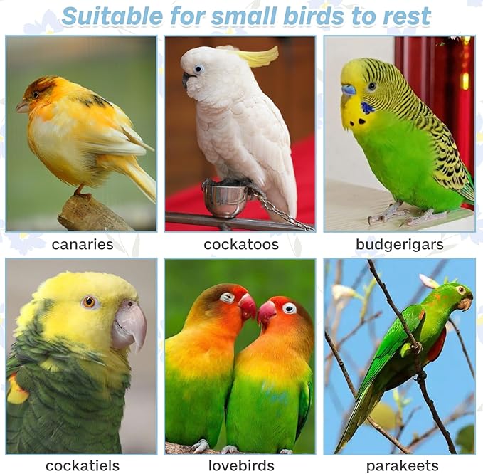 PIVBY Wood Bird Cage Perch Colorful Parrot Stand Toy Platform Paw Grinding Stick for Small Medium-Sized Bird Parakeet Cockatiel Conure Budgies Lovebird Canary Colors Vary Pack of 3