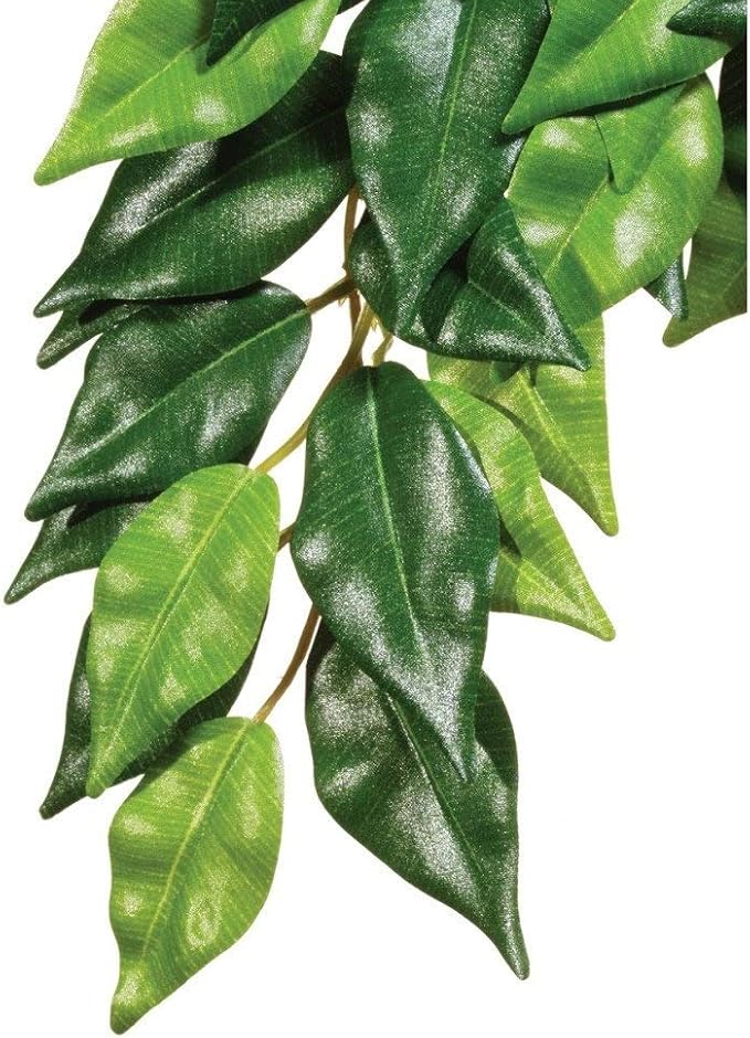 Hagen Exo Terra Silk Terrarium Plant, Medium, Ficus