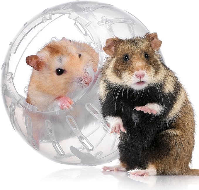 ibasenice Mini Hamster Running Ball Exercise Toy for Small Pets 3.93In Detachable Safe Ventilated Hamster Toy for Active Play and Healthy Exercise