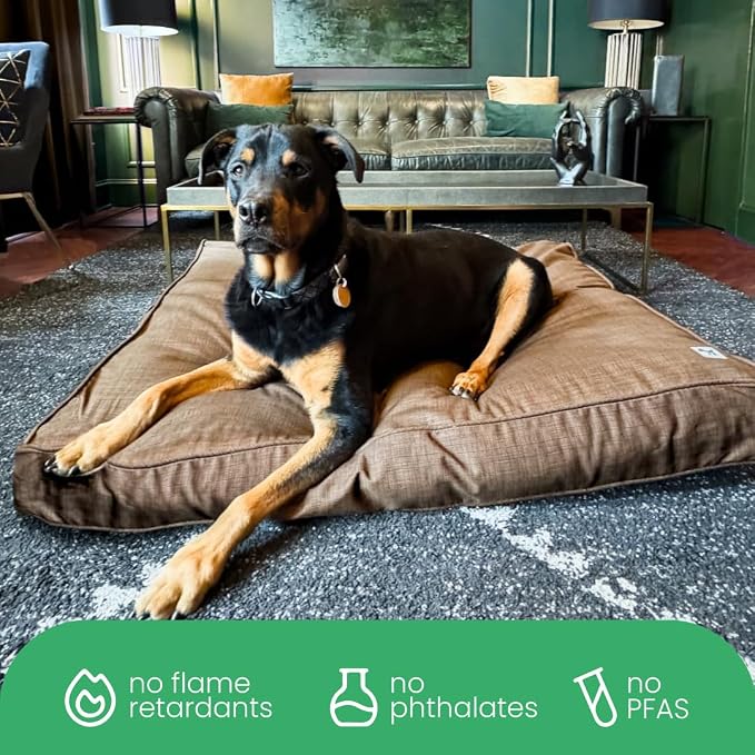 Molly Mutt Woodstock Dog Bed Duvet Cover, GOTS-Certified 100% Organic Cotton Canvas Cover for Dog, Puppy, or Cat Bed, Durable, Washable, and Free of Harmful Chemicals, Small, 22"x27"x5"