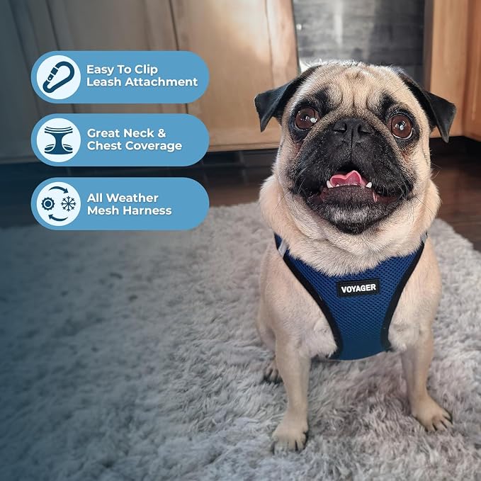 Best Pet Supplies Voyager Step-in Air All Weather Mesh Harness and Reflective Dog 5ft Leash Combo with Neoprene Handle, for Small, Medium and Large Breed Puppies - Blue/Black Trim, Medium