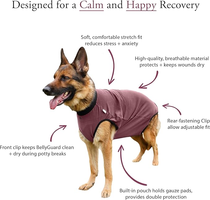 BellyGuard Dog Surgery Recovery Suit, Dog Onesie for Post-Op Care, Recovery Apparel for Female and Male, Surgical Body Cover for Canine Healing Support