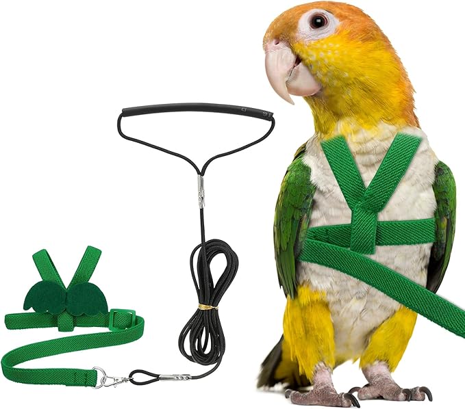 Bird Harness Leash, Adjustable Pet Parrot Bird Harness and Leash Lightweight Anti-Bite Flight Training Rope with Cute Wing, (Green, XS), Intended for Parrots/Pigeons/Budgies
