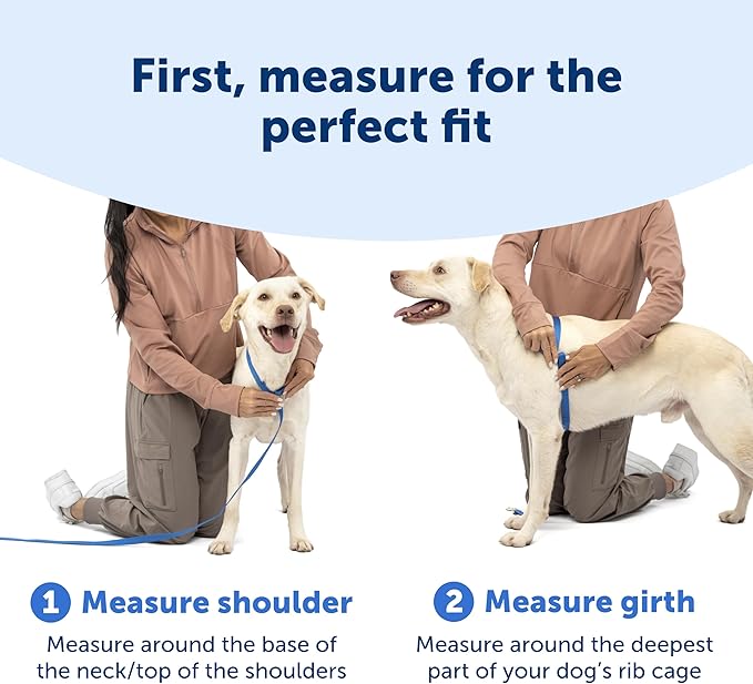 PetSafe Easy Walk Comfort No-Pull Dog Harness - Better Walk Training Harness - Full Body Padded Design - Durable Fabric - 5 Point Adjustable Fit - Everyday Leash Training - Black - Medium/Large