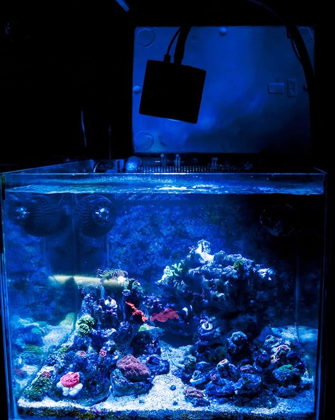 Lominie Aquarium LED Light, Reef Coral Light Saltwater Aquarium Light Full Spectrum with Remote Control Gooseneck for 10 Gallon Fish Tank