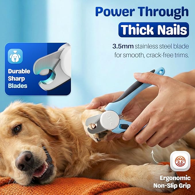 Flexzion Pet Nail Clippers for Dogs & Cats - Stainless Steel Blade Cat Nail Trimmer with Stored Nail File, Safety Guard, Easy Grip Handle - Dog Nail Clippers for Large Dogs, Medium Small Breeds, Blue