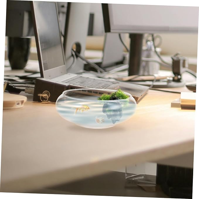 YARNOW Clear Glass Fish Bowl Desktop Fish Tank for Goldfish Shrimp and Plants Hydroponic Flowerpot Portable Fish Keeper Multi Functional Aquarium High Transparency