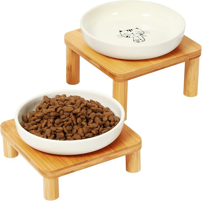 DoogCat Elevated Cat Bowls for Indoor Cats – Raised Bamboo Cat Bowl Stand with 5.75 Inch Wide Ceramic Dishes, Pet Food Plate Table for Easy Feeding, Whisker Friendly(White,Set of 2)
