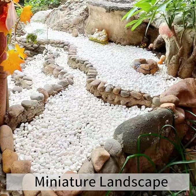 FANTIAN 10LB Natural Succulent Gravel Decorative White Rocks - 3/8'' Small White Pebbles for Plants, Decorative Stones, Succulent Rocks Pebbles for Planter, Aquarium Pea Gravel for Landscaping